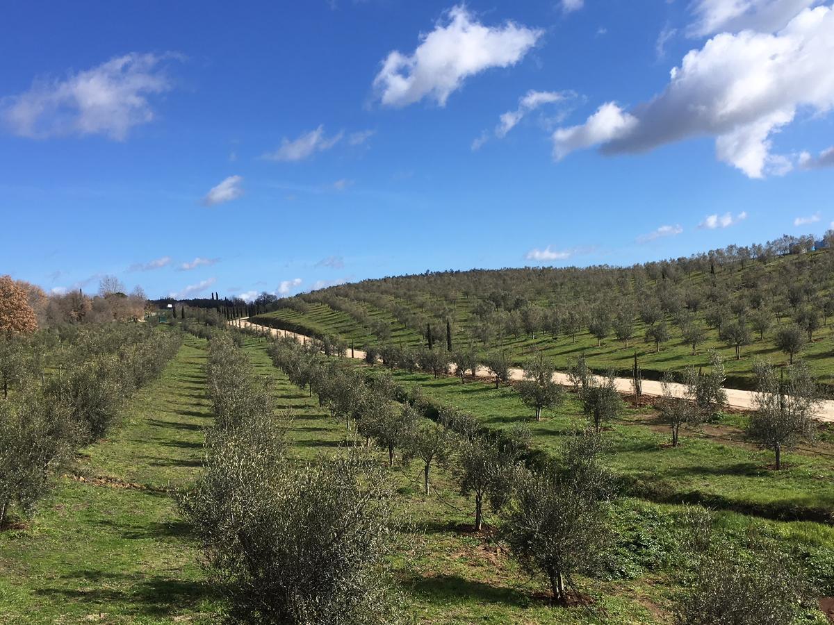 Il Podere di Marfisa Farnese Esterno foto